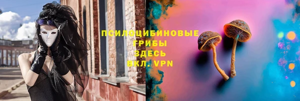 винт Алзамай